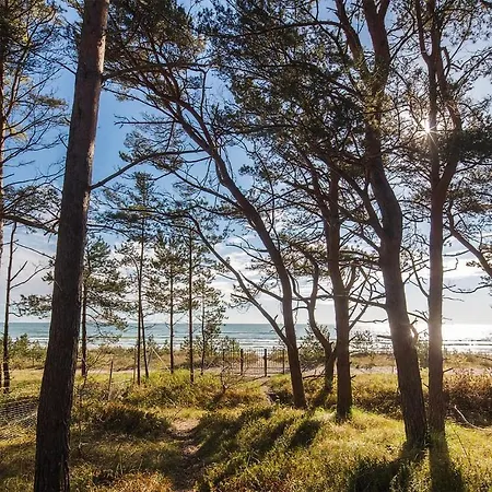 Avida Penthouse Binz