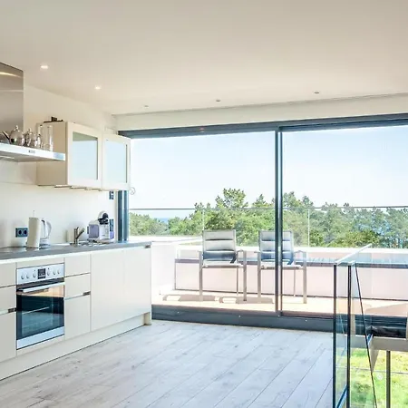 Avida Penthouse דירה *