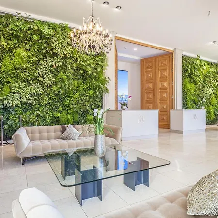 Avida Penthouse * בינץ