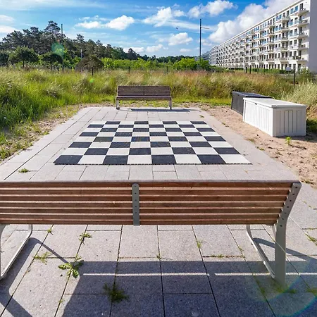 Avida Penthouse * בינץ